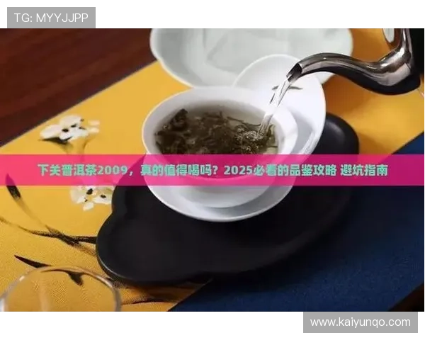 开云代理推波胆好做吗避坑指南品牌入口下载评测