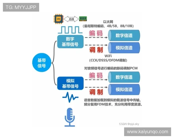 波胆网站源码出售论坛避坑指南数字高频玩法防骗